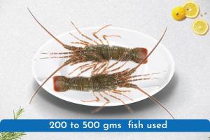 Lobsters Whole Clean 500 g